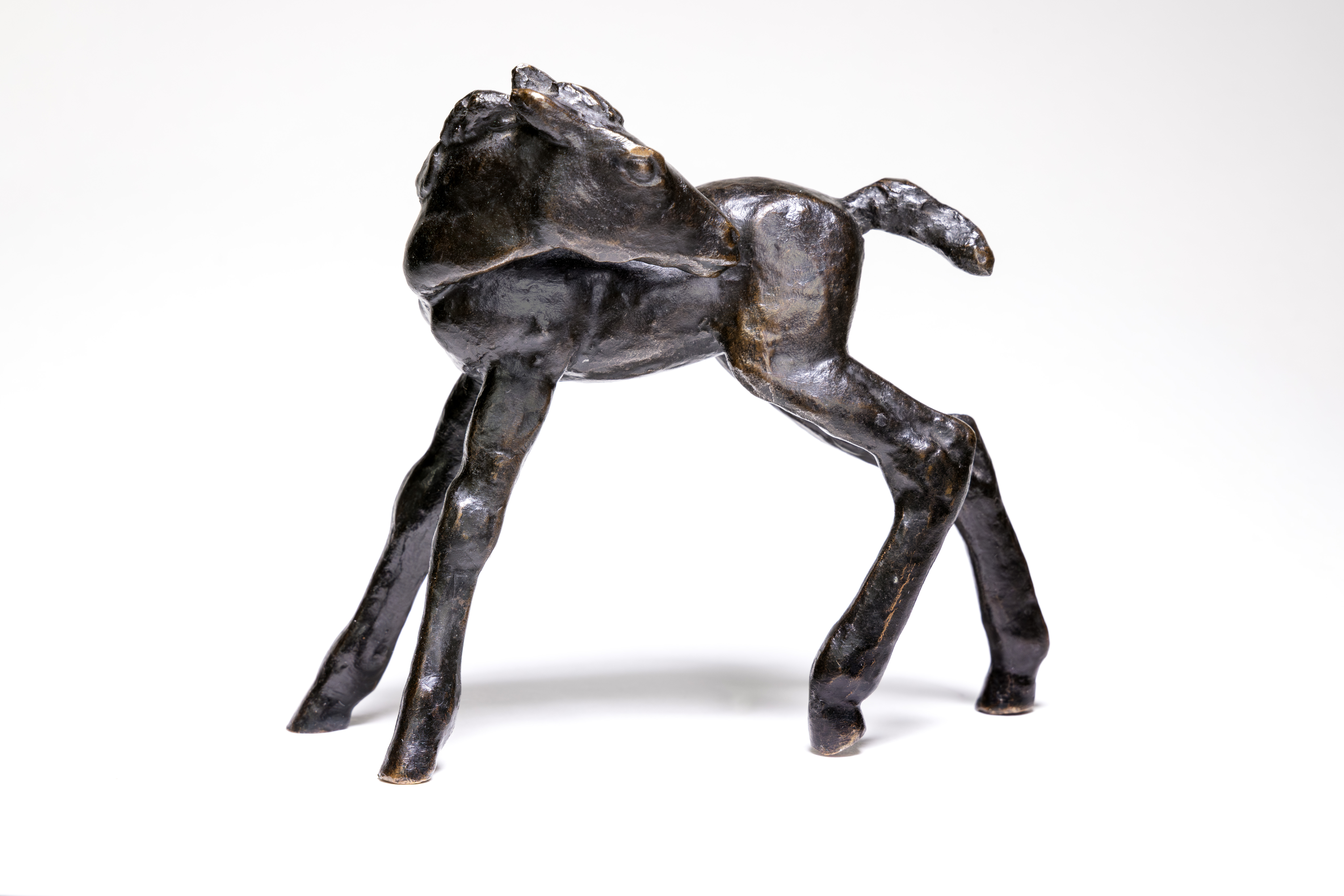 Renée Sintenis, Rückblickendes Fohlen (Poulain regardant derrière lui), 1919